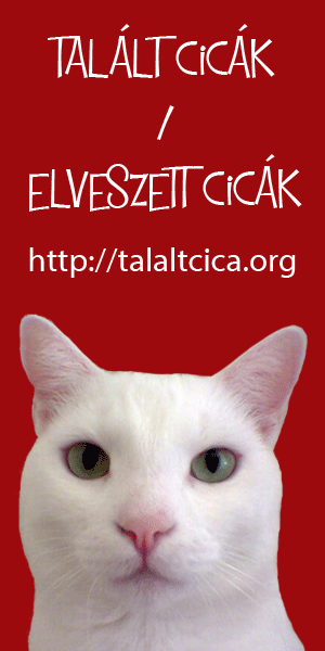 Tallt cick / Elveszett cick